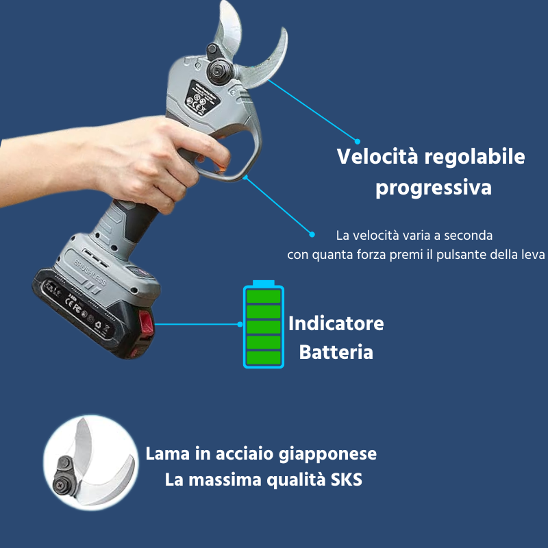 Velocità PL
